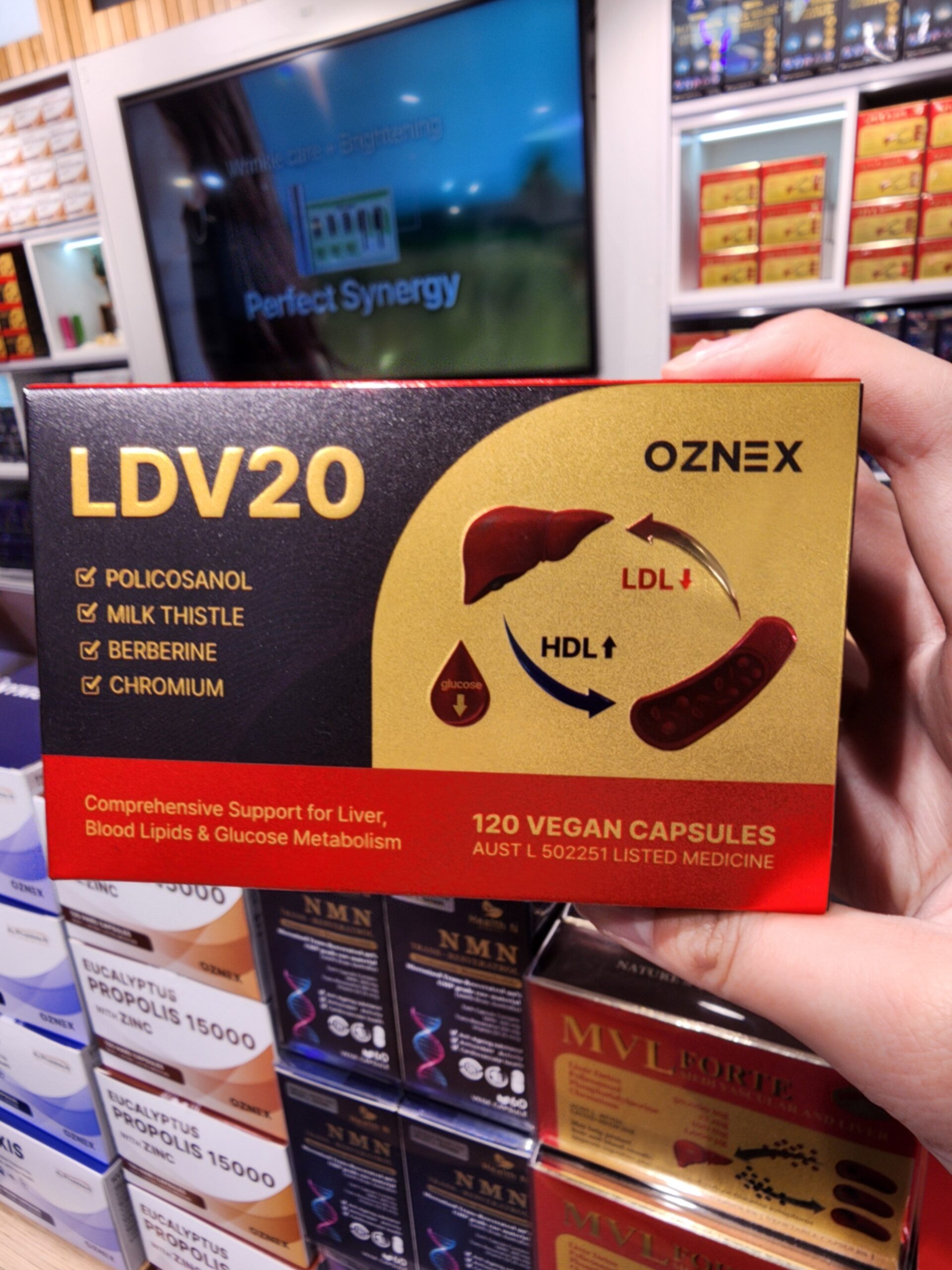 LDV20 부모님 선물